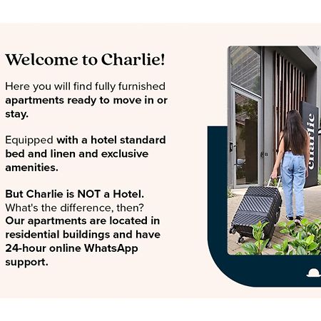 Apartmán Charlie Franca Jardim Paulista São Paulo Exteriér fotografie